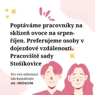 Hledáme pomocníky do sklizně v dojezdové vzdálenosti od Stošíkovic. Pro více informací volejte tel.: 603545598